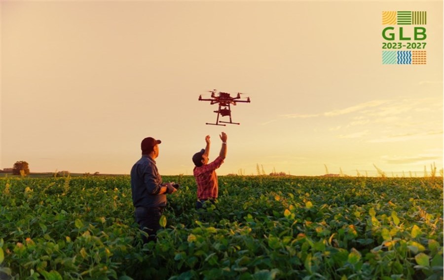 Een zonnebloemenveld met twee mannen die een drone in de lucht gooien